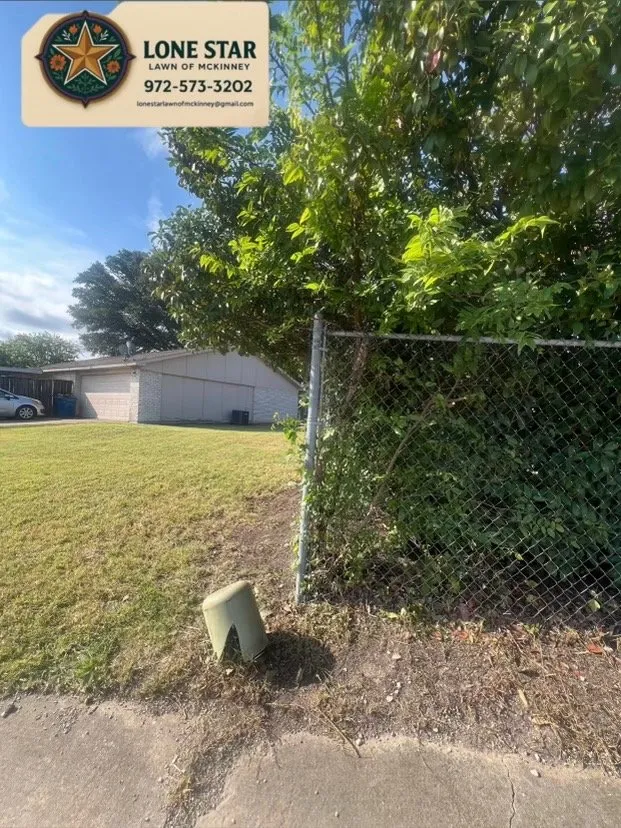 Local landscaping services in McKinney, TX by Lone Star Lawn