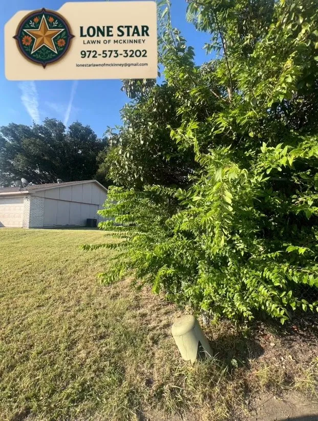 Custom landscaping services for year-round maintenance across McKinney, TX - Lone Star Lawn