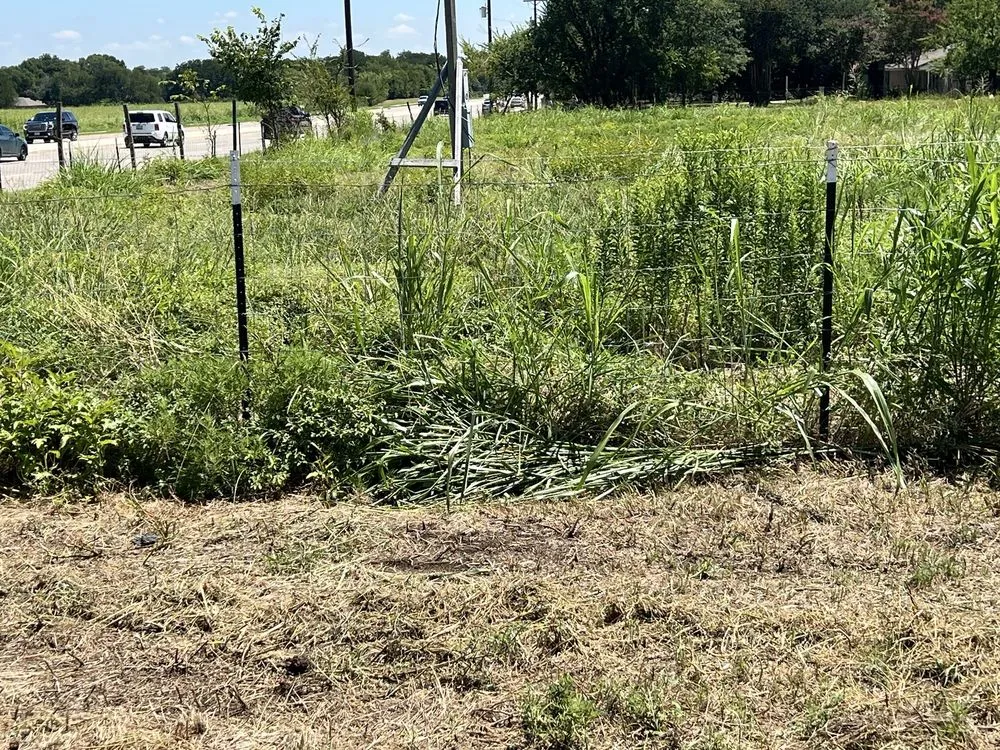 Reliable yard maintenance for beautiful yards in McKinney, TX by Lone Star Lawn