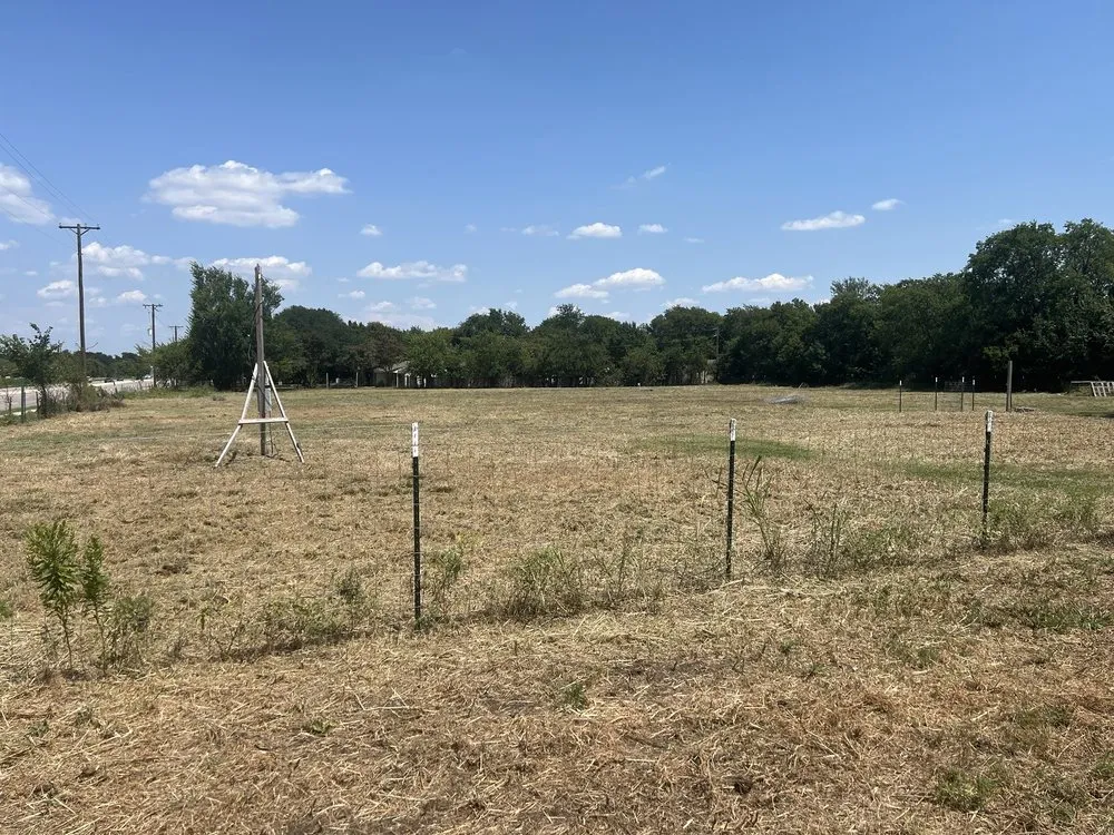 Expert lawn care service for beautiful yards in McKinney, TX by Lone Star Lawn