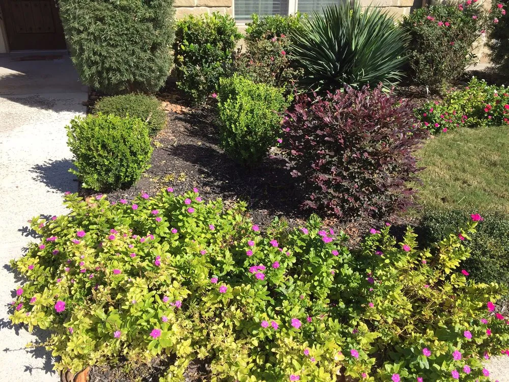 Trusted garden landscaping in New Braunfels, TX - Lone Star Lawn