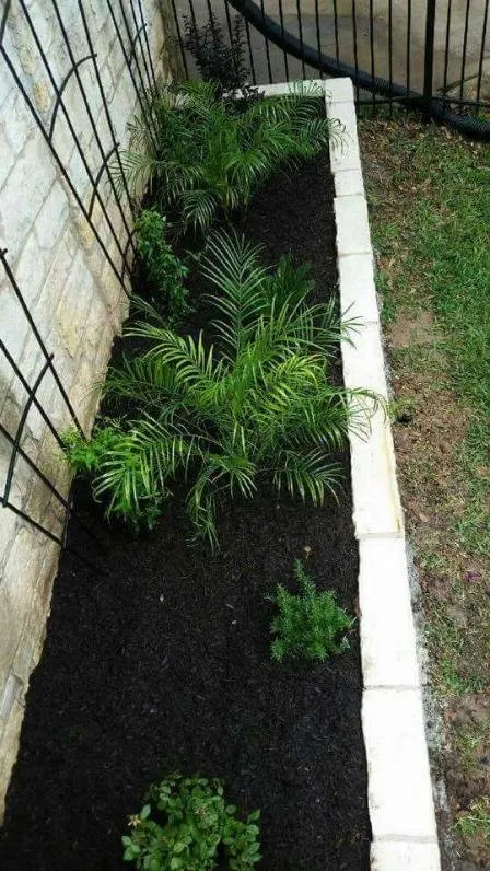 Affordable landscaping services in Pflugerville, TX - Lone Star Lawn Service