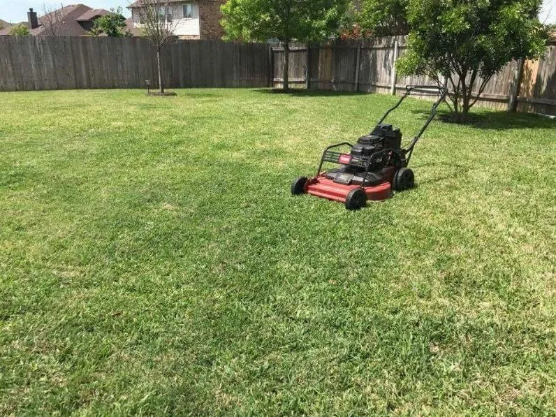 Reliable lawn care service experts serving Pflugerville, TX - Lone Star Lawn Service