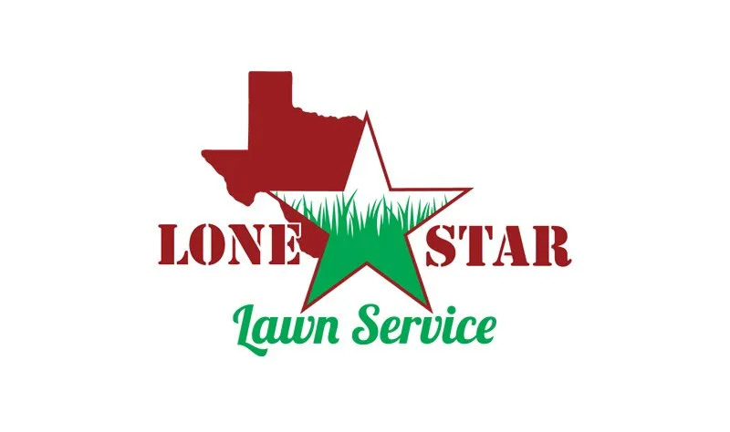 Custom yard cleanup service in Pflugerville, TX - Lone Star Lawn Service