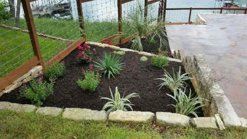Expert landscaping services in Pflugerville, TX by Lone Star Lawn Service