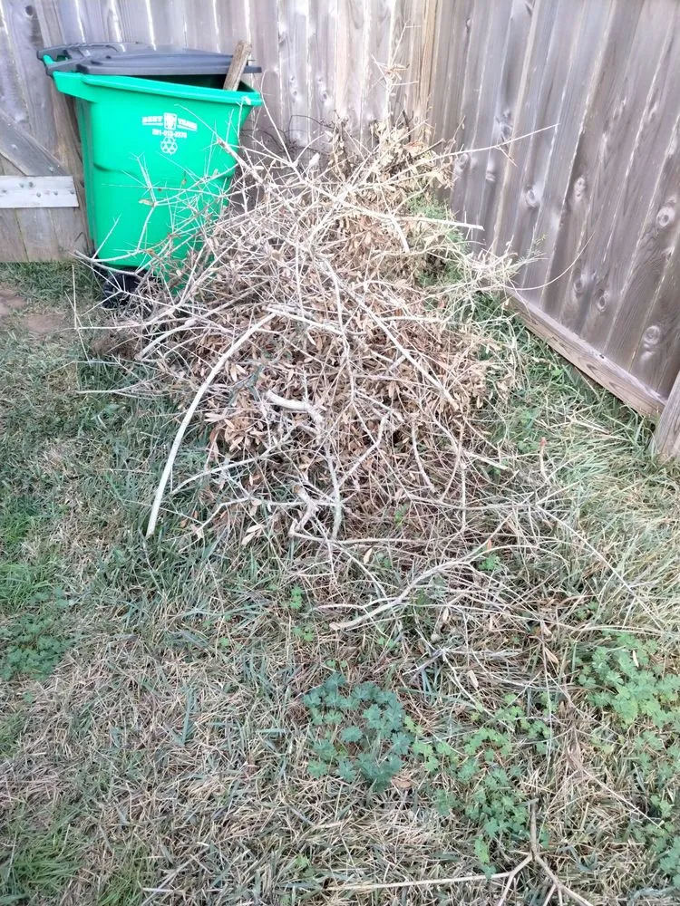 Reliable lawn care service in Rosenberg, TX by Lone Star Lawn Services