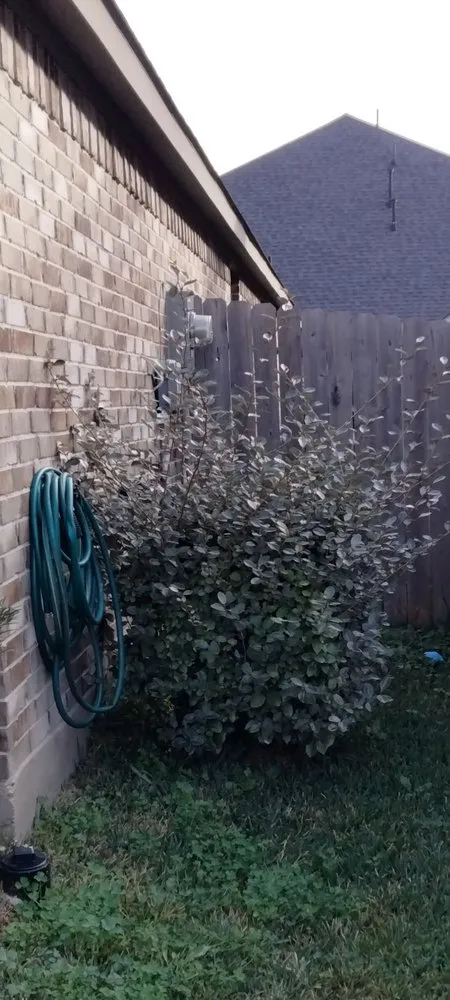 Custom residential landscaping for beautiful yards across Rosenberg, TX - Lone Star Lawn Services