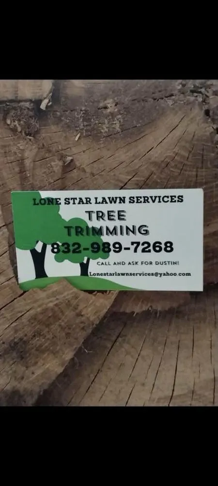 Professional landscape design in Rosenberg, TX by Lone Star Lawn Services