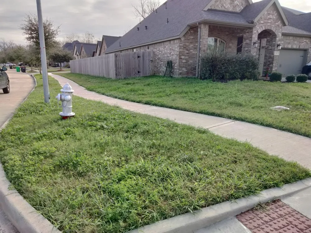 Trusted yard maintenance in Rosenberg, TX by Lone Star Lawn Services