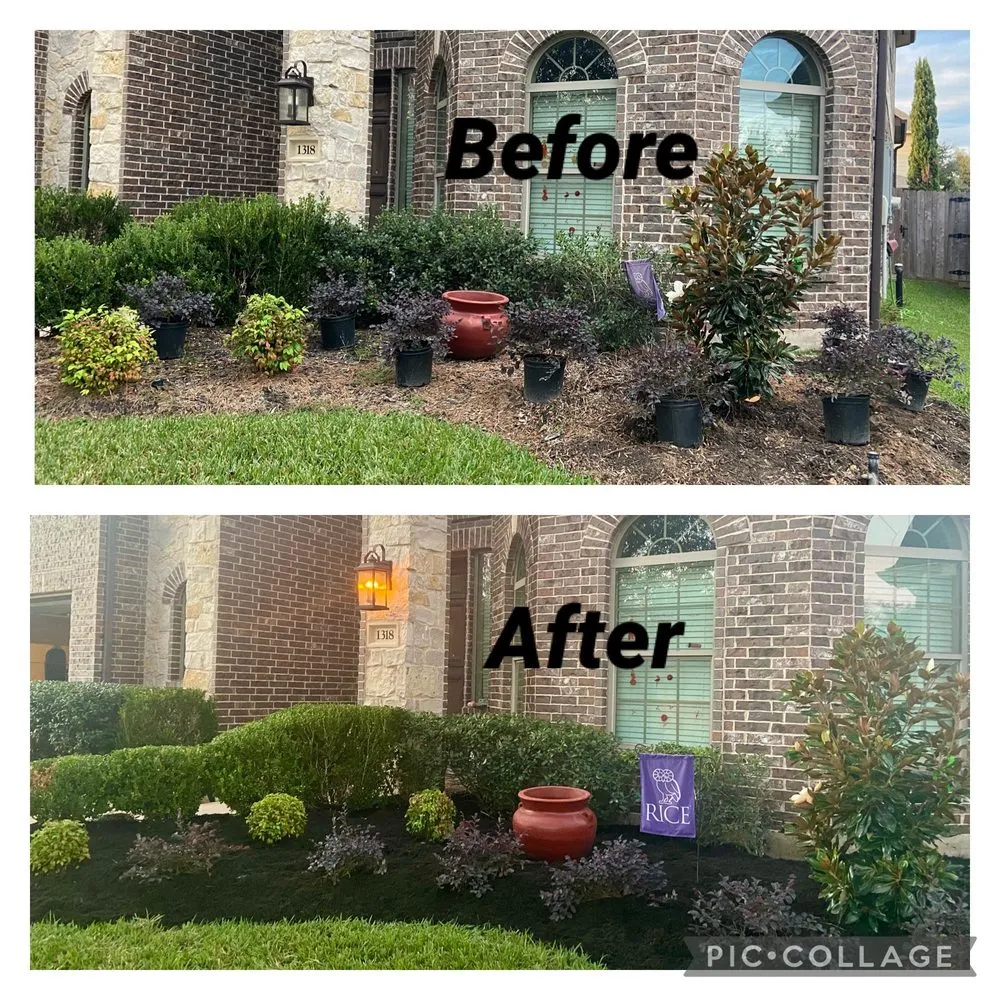 Expert yard cleanup service for year-round maintenance in Rosenberg, TX by Lone Star Lawn Services