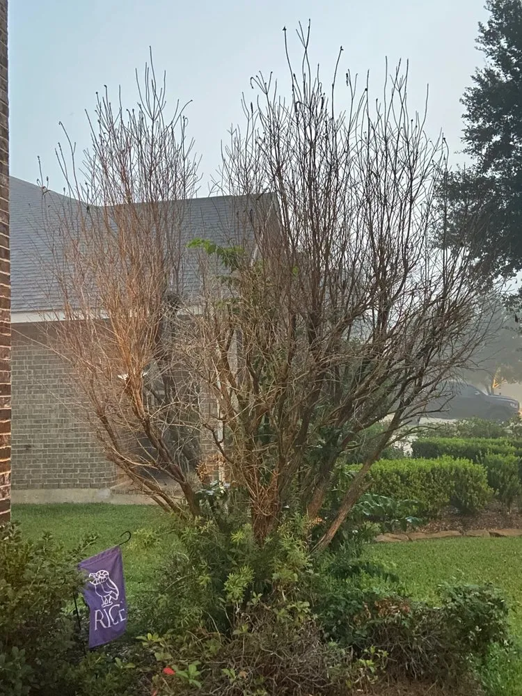 Affordable landscape design with custom design in Rosenberg, TX by Lone Star Lawn Services