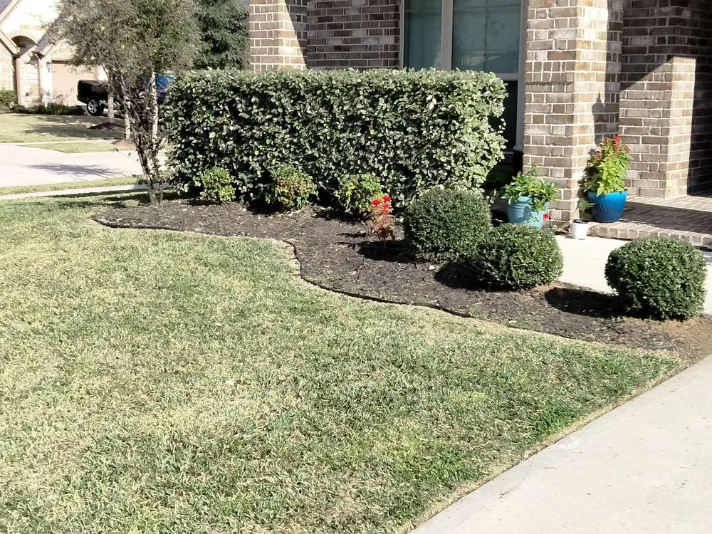 Reliable residential landscaping in Rosenberg, TX - Lone Star Lawn Services