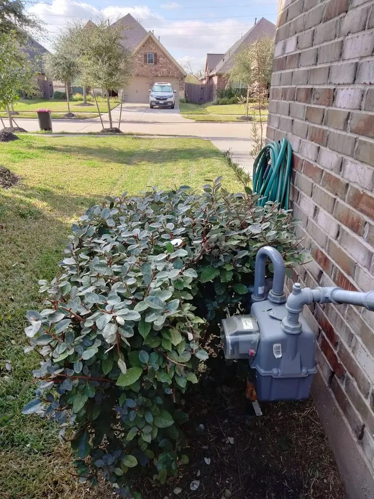 Top-rated lawn mowing service in Rosenberg, TX - Lone Star Lawn Services