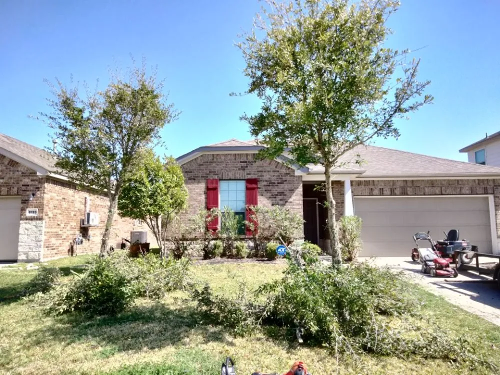 Reliable lawn care service in Rosenberg, TX - Lone Star Lawn Services