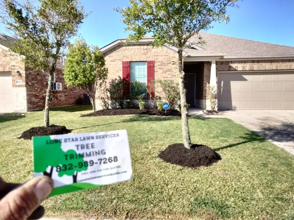 Top-rated landscaping services in Rosenberg, TX by Lone Star Lawn Services