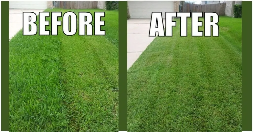 Custom landscaping services for beautiful yards across Rosenberg, TX - Lone Star Lawn Services