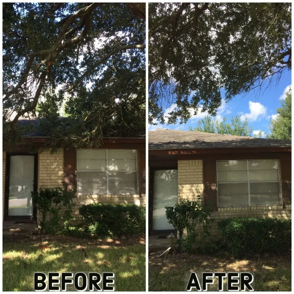 Local landscape installation experts serving Rosenberg, TX - Lone Star Lawn Services