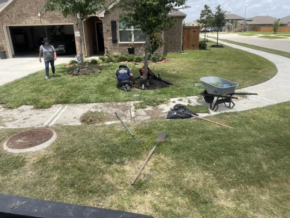 Trusted landscape design in Katy, TX - Lone Star Lawn Supply