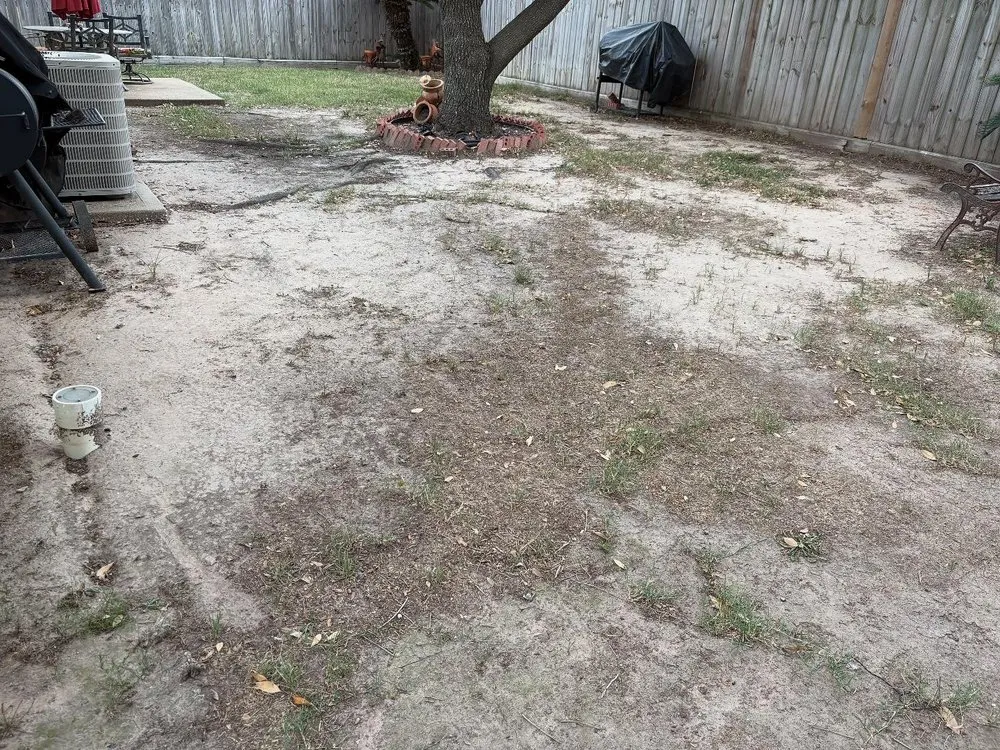 Affordable yard maintenance in Katy, TX - Lone Star Lawn Supply
