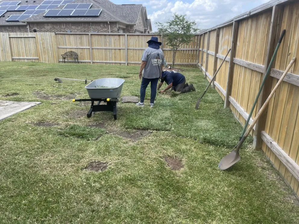 Affordable yard cleanup service in Katy, TX by Lone Star Lawn Supply