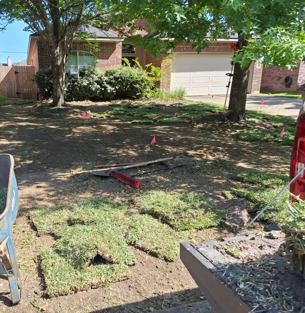 Professional outdoor landscaping with custom design in Katy, TX by Lone Star Lawn Supply