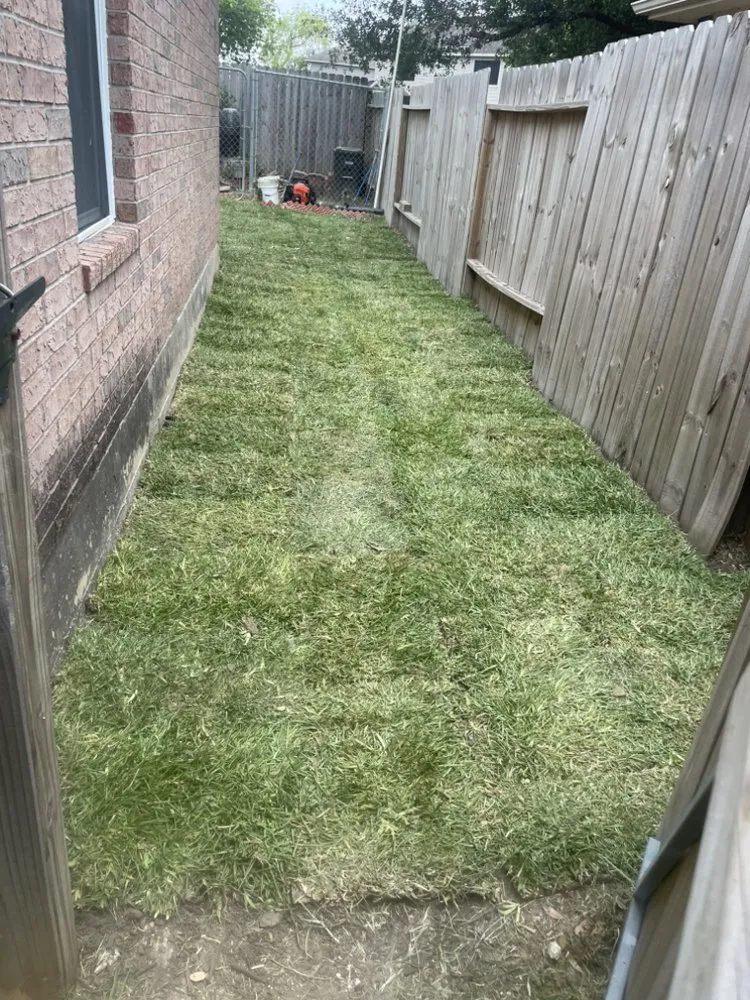 Top-rated lawn mowing service with custom design across Katy, TX - Lone Star Lawn Supply