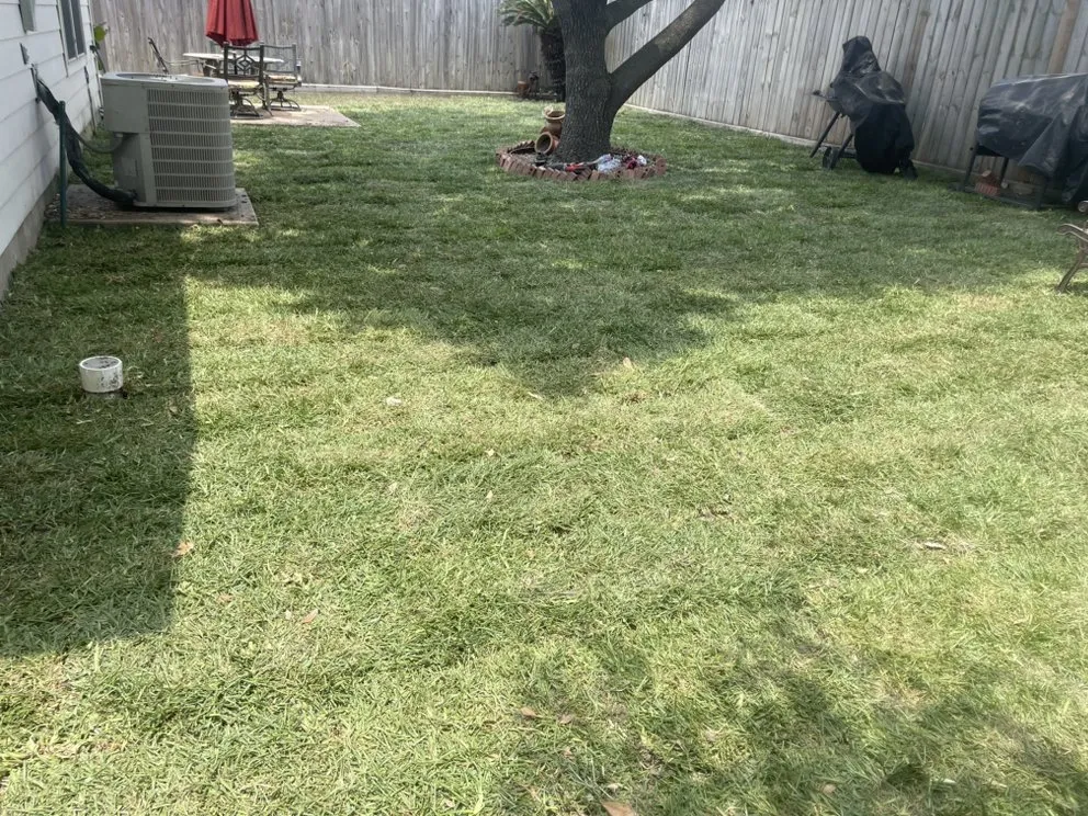 Professional yard maintenance experts serving Katy, TX - Lone Star Lawn Supply