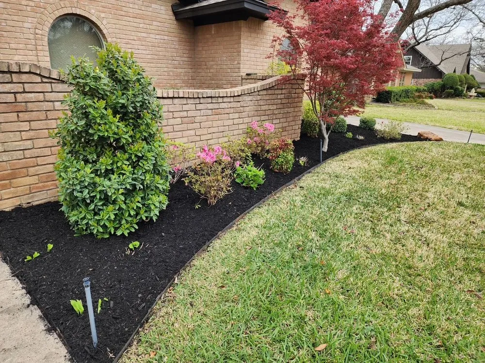 Reliable lawn care service for year-round maintenance across Arlington, TX - Lone Star Lawns