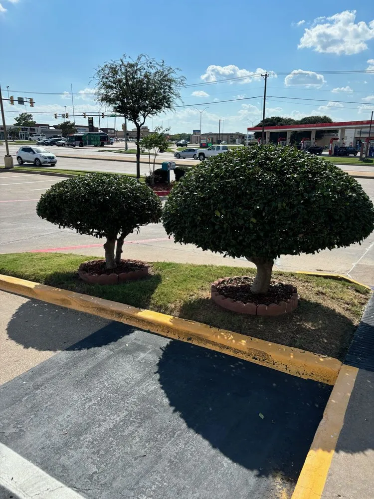 Trusted landscape design in Arlington, TX - Lone Star Lawns