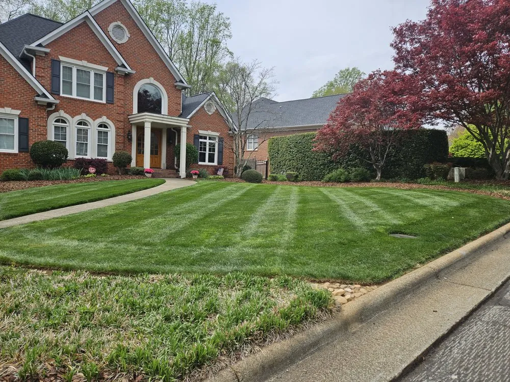 Top-rated landscaping services experts serving Yadkinville, NC - Lone Star Lawns