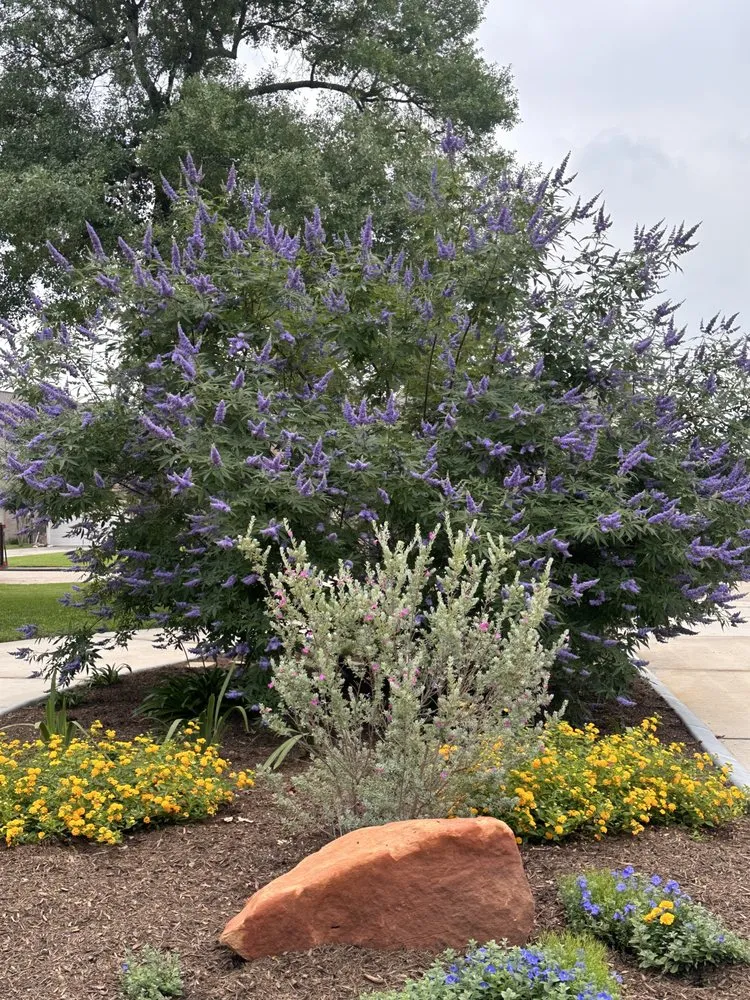 Local garden landscaping for beautiful yards across Houston, TX - Lone Star Property Works