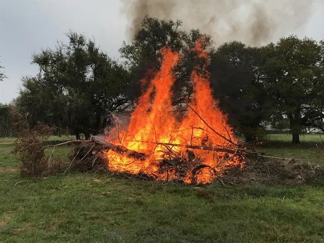 Professional landscaping services for outdoor upgrades in New Ulm, TX by Lone Star Ranch Management