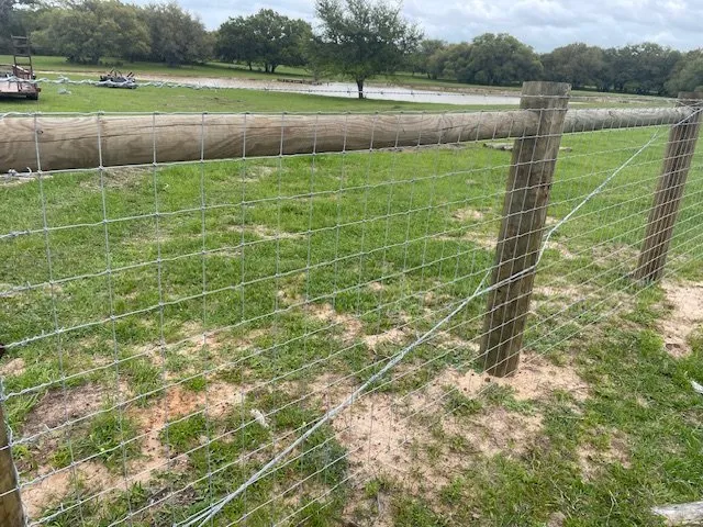 Local yard maintenance with custom design in New Ulm, TX by Lone Star Ranch Management