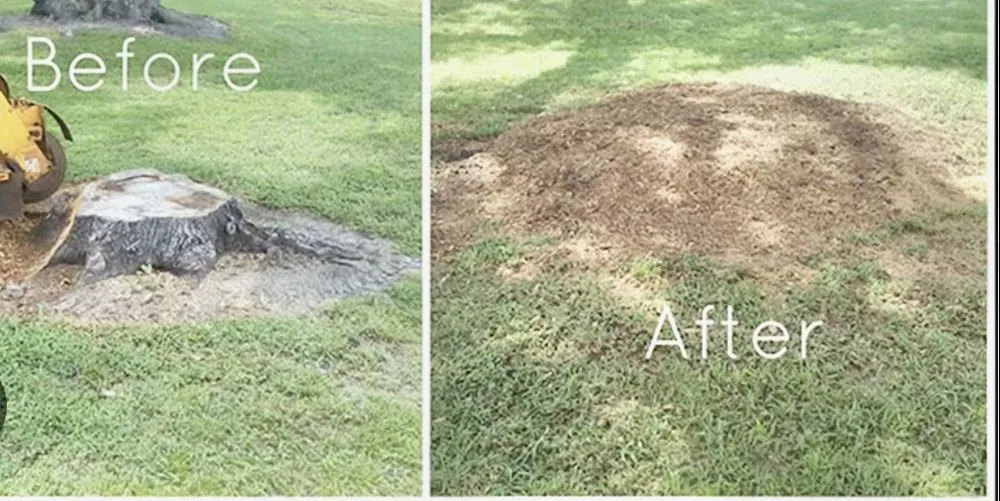 Local landscape installation for beautiful yards across Brenham, TX - Lone Star Shredding Plus