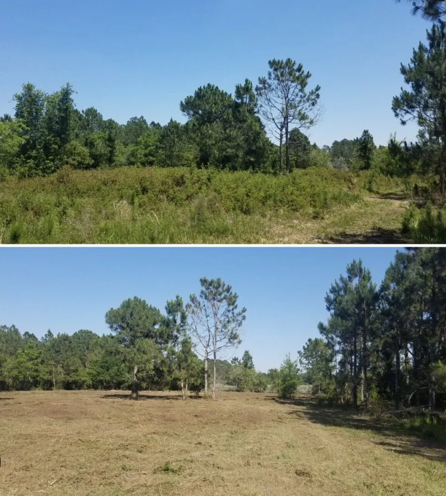 Reliable lawn care service in Brenham, TX by Lone Star Shredding Plus