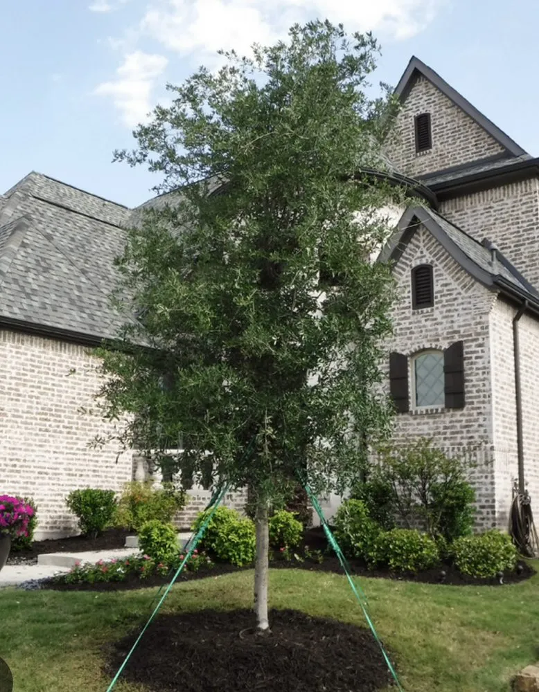 Affordable garden landscaping in Brenham, TX by Lone Star Shredding Plus