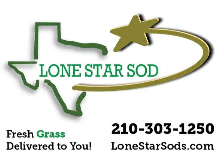 Reliable landscaping services in San Antonio, TX by Lone Star Sod