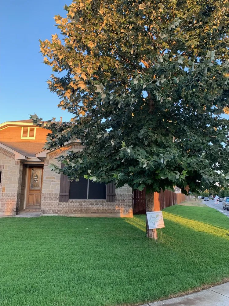 Affordable lawn mowing service for outdoor upgrades across San Antonio, TX - Lone Star Sod