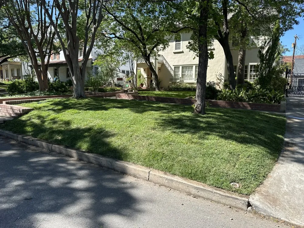 Trusted lawn mowing service for homes in San Antonio, TX by Lone Star Sod