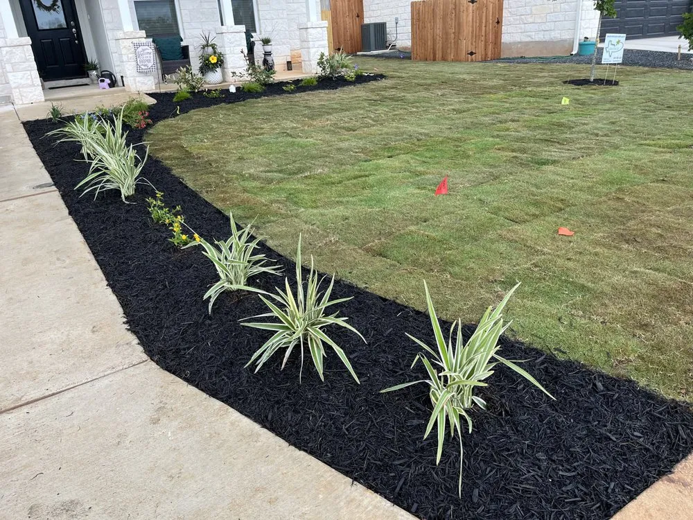 Affordable outdoor landscaping for homes in San Antonio, TX by Lone Star Sod