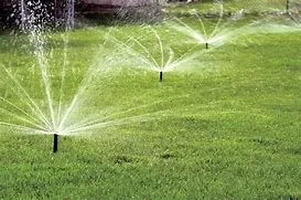 Custom yard cleanup service in Liberty Hill, TX - Lone Star Sprinklers