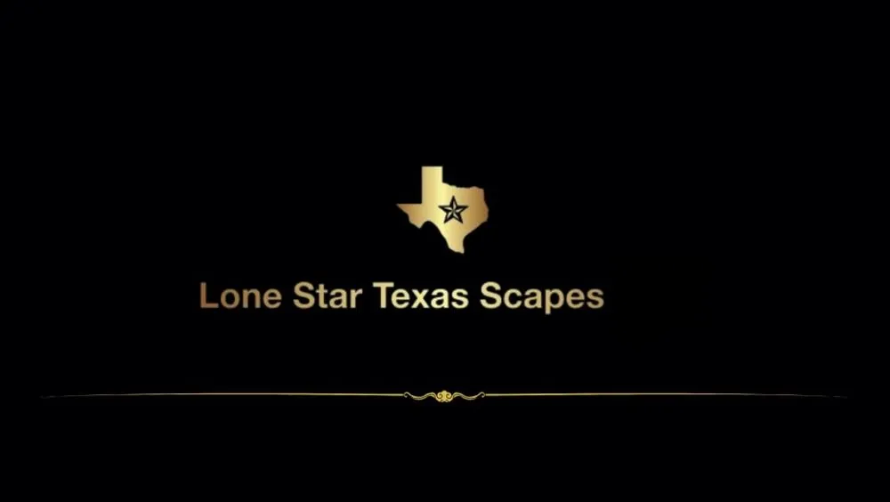 Affordable landscape installation in El Paso, TX by Lone Star Texas Scapes