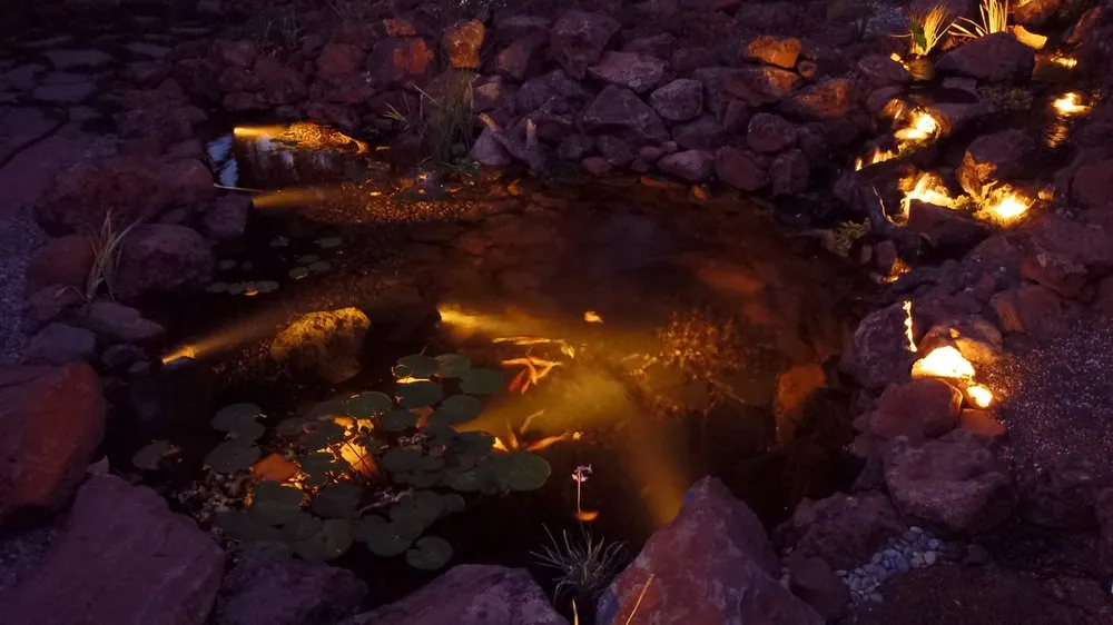 Custom lawn care service for year-round maintenance across Selma, TX - Lone Star Waterscapes