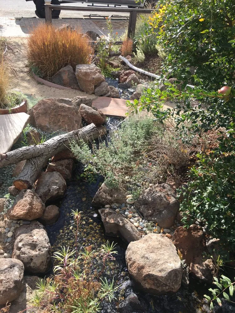 Local landscaping services for outdoor upgrades across Selma, TX - Lone Star Waterscapes