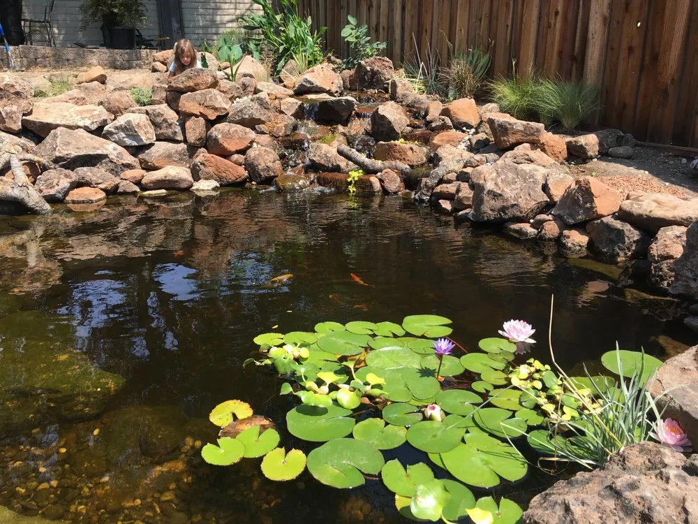 Top-rated landscaping services for year-round maintenance across Selma, TX - Lone Star Waterscapes