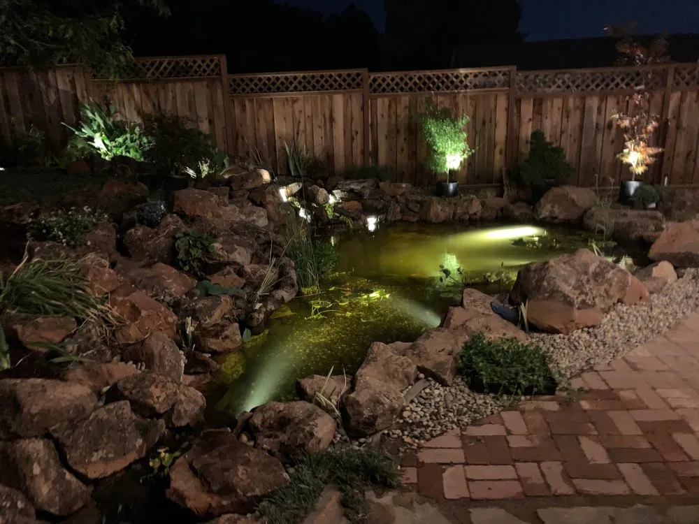 Custom yard cleanup service experts serving Selma, TX - Lone Star Waterscapes