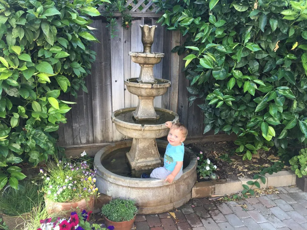 Professional lawn care service experts serving Selma, TX - Lone Star Waterscapes