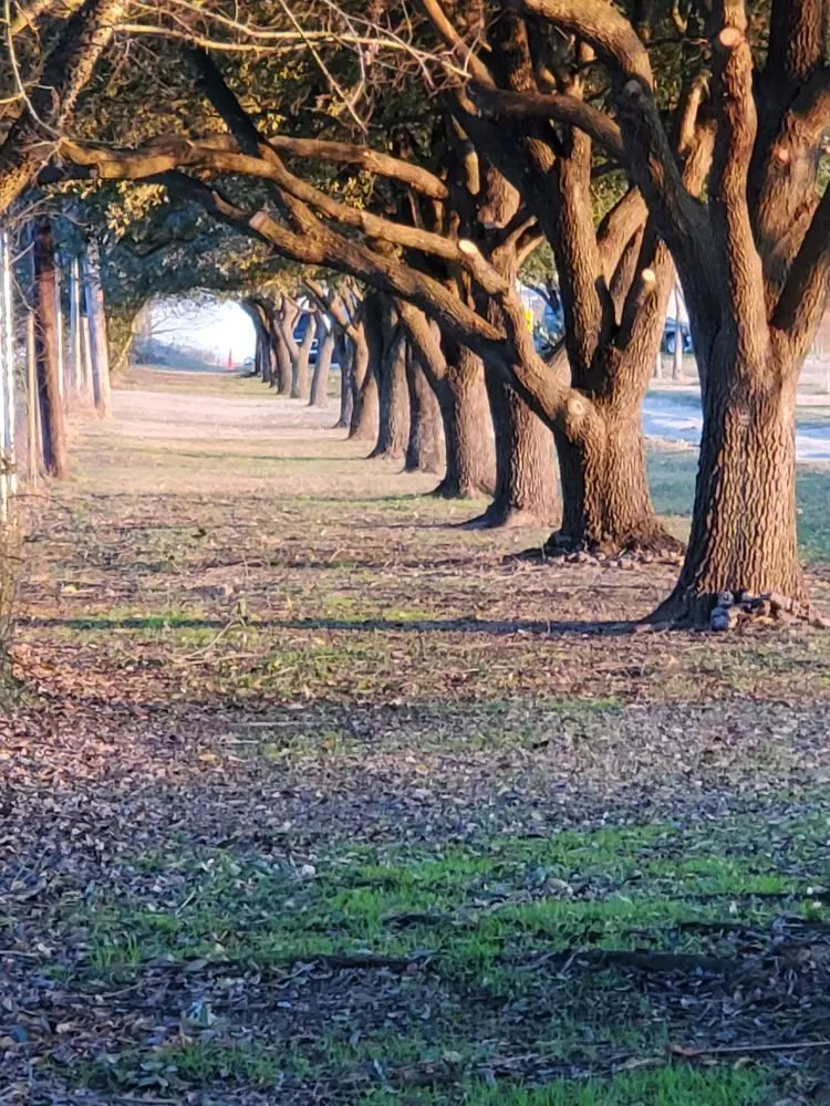 Reliable lawn care service in Canton, TX by Lone Stars and Stripes Landscaping