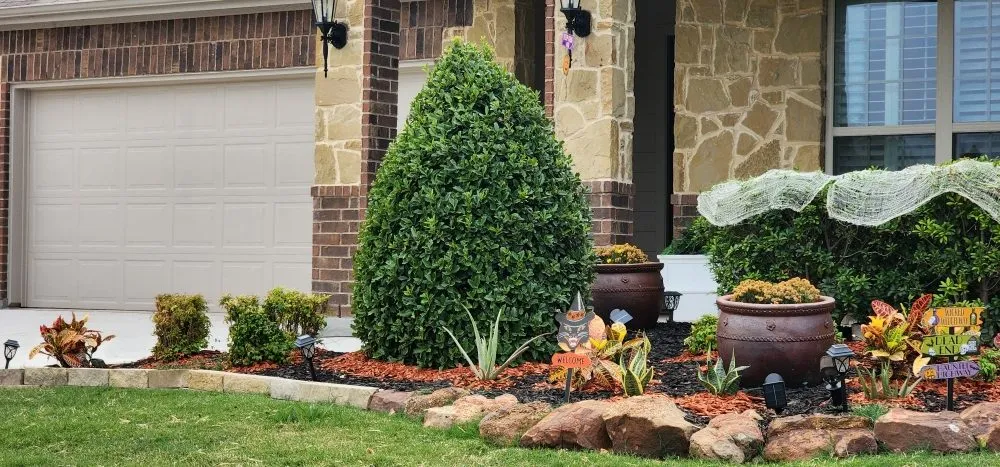 Top-rated landscape design for year-round maintenance across Canton, TX - Lone Stars and Stripes Landscaping