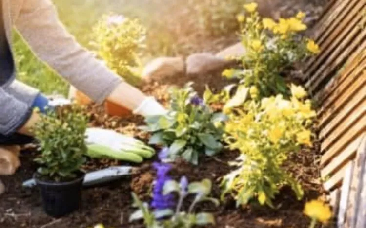 Reliable landscape installation for outdoor upgrades in Canton, TX by Lone Stars and Stripes Landscaping